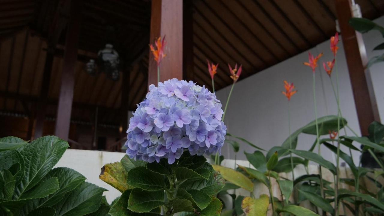 Sanggar Pantcha Indra Guest House Kemuning Ngoại thất bức ảnh